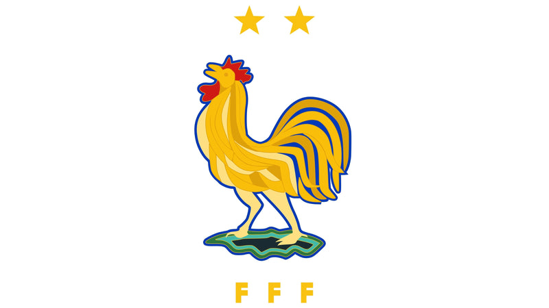 France National Team